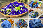 Wise Chef's Butterfly Pea Flower (bunga telang)