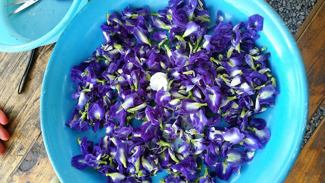Wise Chef's Butterfly Pea Flower (bunga telang)