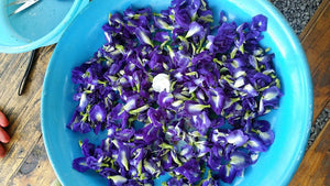 Wise Chef's Butterfly Pea Flower (bunga telang)